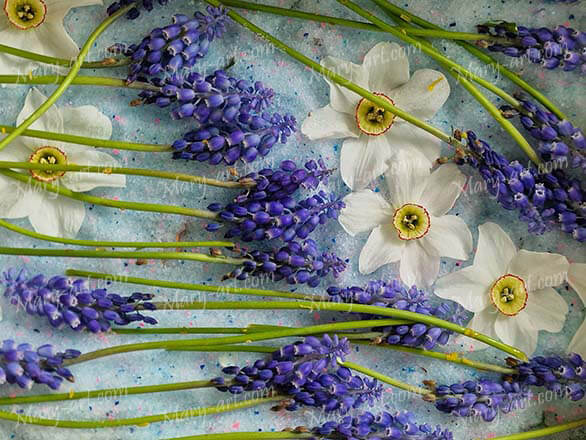 Луговые травы для индивидуального дизайна